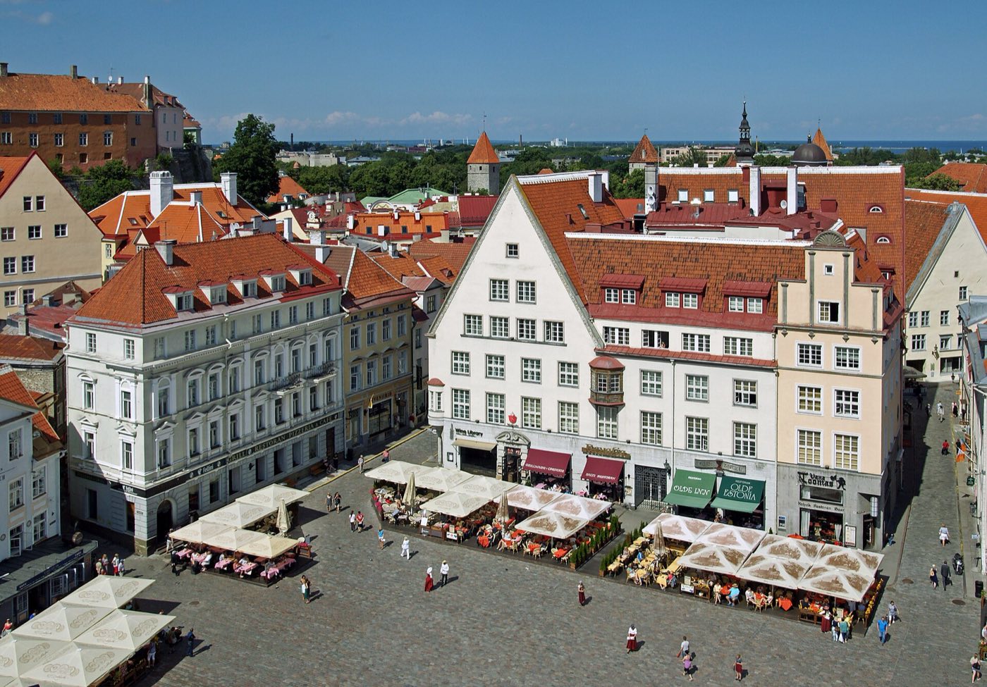 Estonia travel scenery