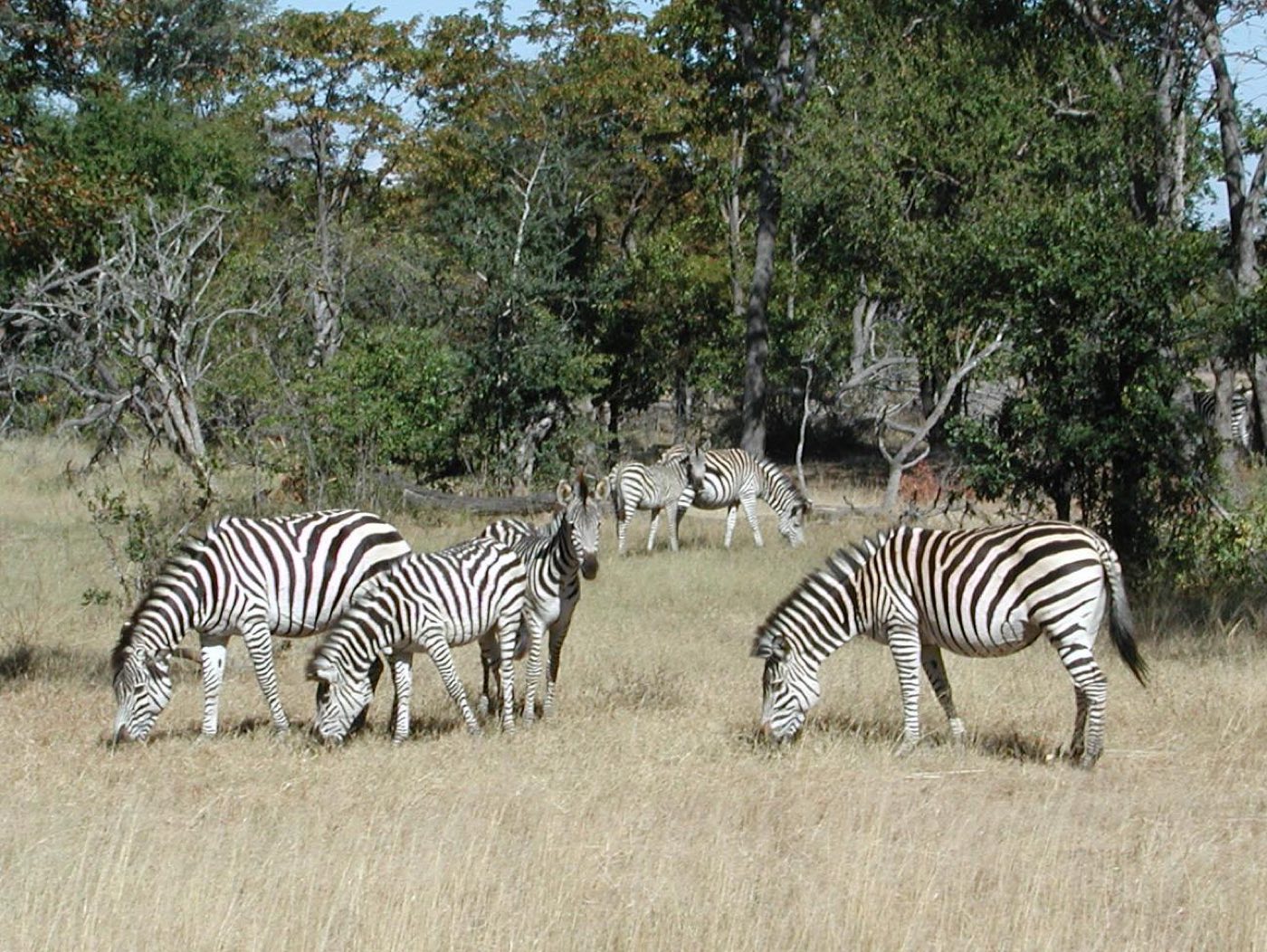 Namibia travel scenery